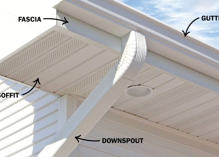 SoffitFascia_anatomy-scaled